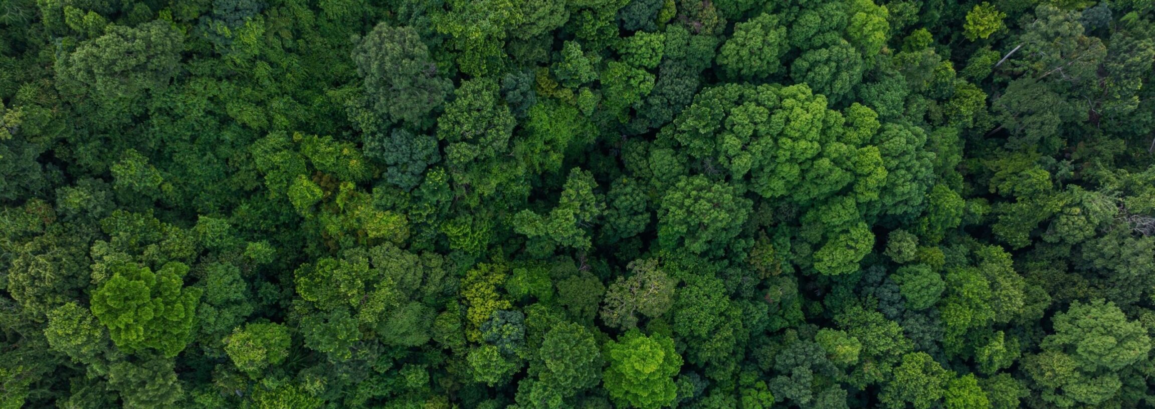 BEZÚROČNÝ ÚVĚR ÚSPORY ENERGIE